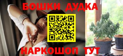 гашик Кулебаки