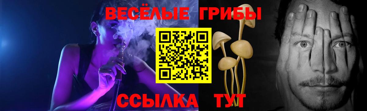 Гурьевск  Галлюциногенные грибы GOLDEN TEACHER  Галлюциногенные грибы GOLDEN TEACHER  Вход с VPN 